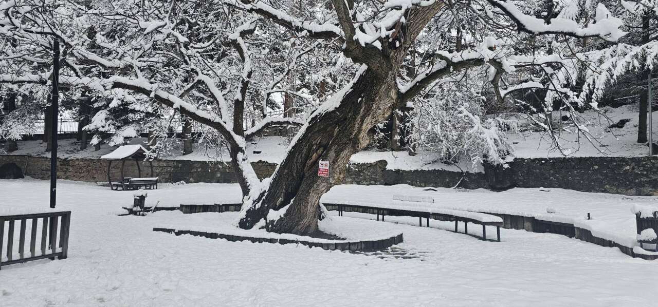 Konya’da kar kalınlığının 1 metreye yaklaştığı ilçe şölen sunuyor 33